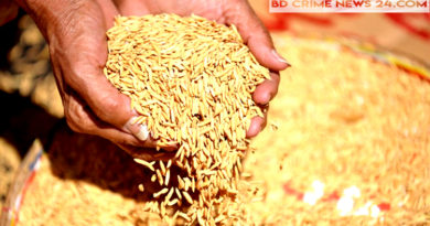 প্রকৃত কৃষকেরা সরকারের কাছে ধান বিক্রি করতে পারেনি প্রকৃত কৃষকেরা সরকারের কাছে ধান বিক্রি করতে পারেনি