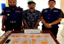  নোয়াখালী থেকে কক্সবাজারের ইয়াবা ব্যবসায়ীকে গ্রেফতার 