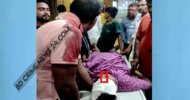 নোয়াখালী ঘরে ঢুকে আ.লীগ নেতার মাকে কুপিয়ে স্বর্ণালংকার লুট