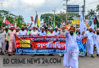 নোয়াখালী- ৪ (সদর-সুবর্ণচর) আসনে হাতপাখার সংসদ সদস্য প্রার্থীর আনুষ্ঠানিক প্রচারণা শুরু